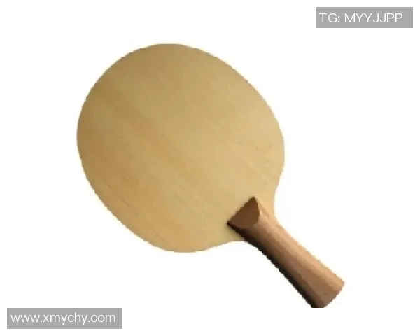 乒乓球新手必看灵活性训练技巧与入门指南全解析