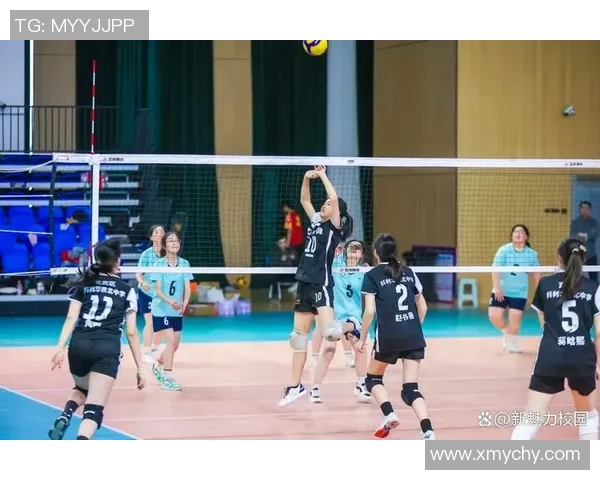 南京排球队荣登排球比赛经验排行榜首位引领全国排球发展新潮流 南京排球队荣登排球比赛经验排行榜首位引领全国排球发展新潮流