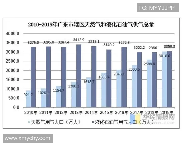 数据分析视角下液化天然气市场意识与趋势的深度探讨