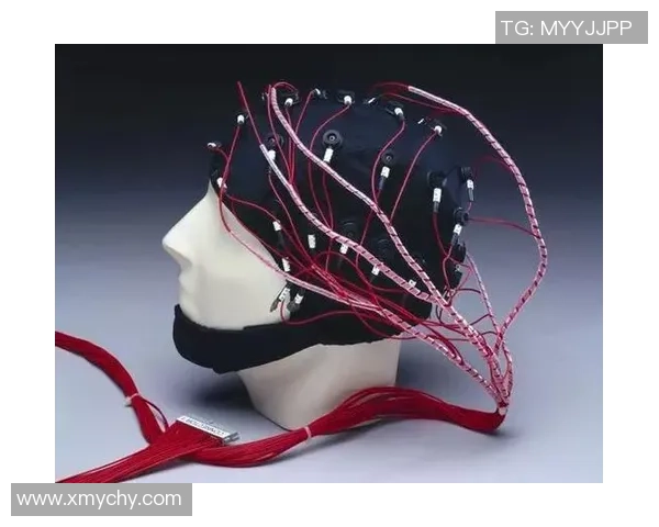 拉波尔特的崛起与挑战：探索其在现代科技领域的影响与未来发展潜力